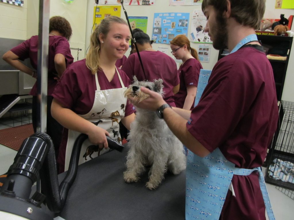 Veterinary Science New Horizons